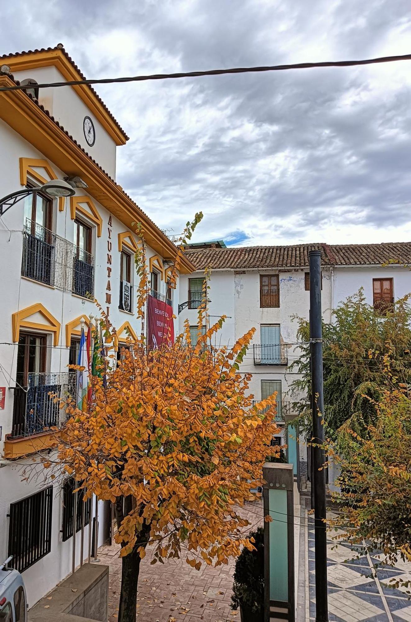 구에하르 시에라 La Casa De La Plaza 아파트 외부 사진