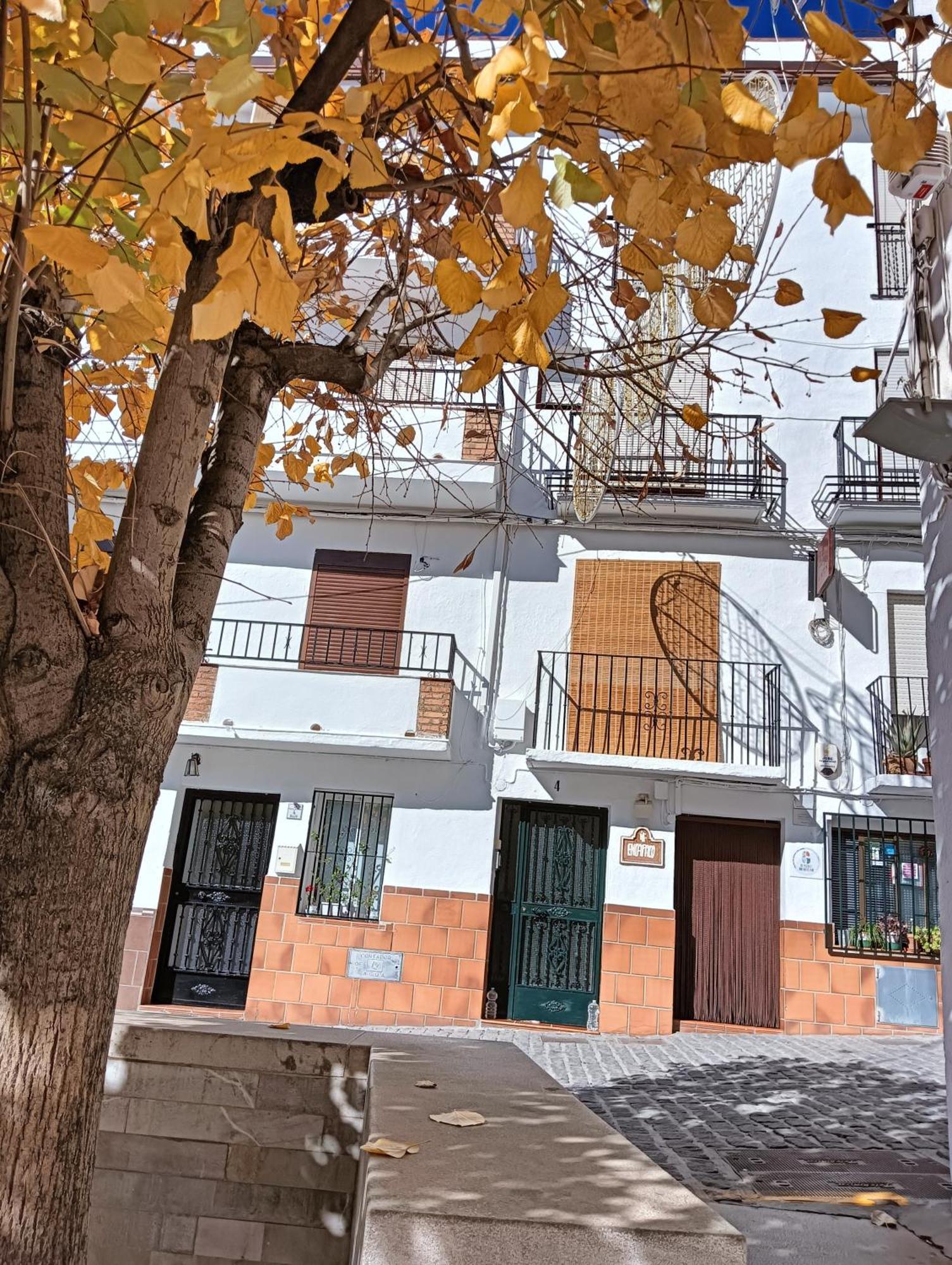 구에하르 시에라 La Casa De La Plaza 아파트 외부 사진